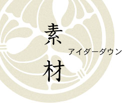 素材/アイダーダックタイトル画像